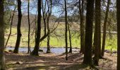 Tocht Stappen Manhay - Malempré Oster Aisne 24,5 km - Photo 16