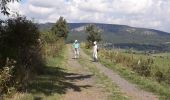 Tocht Stappen Fay-sur-Lignon - la douce - Photo 9