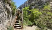 Trail Walking Rougon - Point sublime Verdon Blanc Martel 12 km - Photo 4