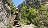 Tocht Stappen Rougon - Point sublime Verdon Blanc Martel 12 km - Photo 4