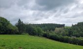 Randonnée Marche Houffalize - rando engreux 8-06-2025 - Photo 12