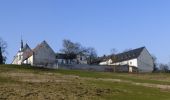 Tocht Te voet Borgloon - Mariënlof Rode pijl - Photo 8