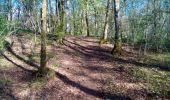 Tour Wandern Besançon - LA DAME BLANCHE - Photo 1