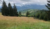 Trail Walking Geishouse - Geishouse-Kapitaenstressla-Faucon Crécerelle - Photo 1