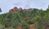 Trail Walking Saint-Raphaël - cap roux rocher barthelemy - Photo 14