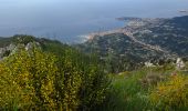 Tour Wandern Castellar - Cime de Restaud et Roc d'Orméa - Photo 3