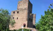Tour Wandern Winzenheim - wintzenheim et les châteaux - Photo 1