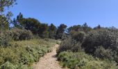 Trail Walking Saint-Rémy-de-Provence - Plateau de Caume - Photo 19