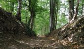 Randonnée Marche Dison - boucle au départ d'Andrimont (Dison)-balisage bleu - Photo 8