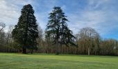 Randonnée Marche Montrieux-en-Sologne - montrieux petit - Photo 1