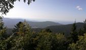 Randonnée Marche Corrençon-en-Vercors - corencon 2019 - Photo 2