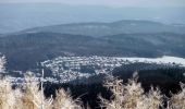 Excursión A pie Grünenplan - HZ3 Auf dem Kammweg zum Raabe-Turm - Photo 4