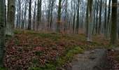 Trail Nordic walking Colfontaine - Balade du terril du grand bouillon d'en bas  - Photo 2
