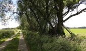 Tour Zu Fuß Blankenfelde-Mahlow - Rundwanderweg Schwanensee - Photo 6