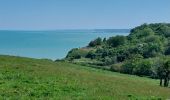 Excursión Senderismo Hautot-sur-Mer - Hautot sur Mer - Photo 4