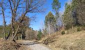 Tour Wandern Tanneron - z chemin charretier 11-02-21 - Photo 5