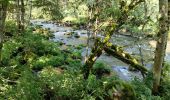 Randonnée Marche Pontgibaud - Sioule et Cheire de Pontgibaud  - Photo 2