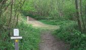 Randonnée A pied West Suffolk - Bradfield Woods Orange Route - Photo 2