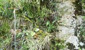 Tocht Te voet Chiusaforte - IT-425a - Photo 3