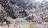 Tocht Trail Santiago del Teide - Los Gigantes -Playa Seco  - Photo 3