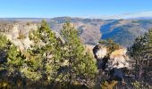 Tour Wandern Saint-Étienne-du-Valdonnez - Montmirat - Photo 10