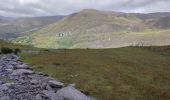 Tour Wandern West Cork - Glengarriff - Ardrigole - Photo 15