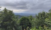 Excursión Senderismo Orcines - Montée au Puy de Dôme et temple de Mercure  - Photo 18