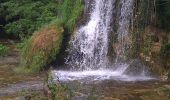 Tocht Stappen Matafelon-Granges - Charmine - Saut de l'Oignin - Photo 5