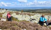 Trail Walking Cubières - Mont Lozère/ Sommet de Finiels - Photo 2