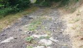 Percorso Marcia Saint-Nectaire - TOUR DU PUY D' ERAIGNE DEPUIS LE CAMPING 