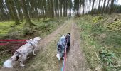 Tour Wandern Neufchâteau - Balade canine 2025 - Photo 5