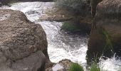 Randonnée Marche Matafelon-Granges - Charmine - Saut de l'Oignin - Photo 1