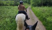 Trail Horseback riding Falck - Falck - Forêt de la Houve - Photo 4