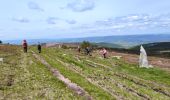 Trail Walking Cubières - Mont Lozère/ Sommet de Finiels - Photo 1