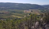 Tour Wandern Le Thoronet - Abbayie de Torronet - Photo 14