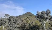 Randonnée Marche Fréjus - Autour du col des Sacs depuis Parking de la Colle Douce - Photo 5