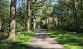 Tocht Stappen Schoten - Vordenstein - Schoten - Photo 15