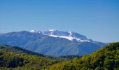 Trail On foot Santa Margherita di Staffora - IT-13 - Photo 4