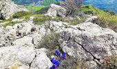 Excursión Senderismo Le Saix - Montagne d'Aujour en boucle - Photo 16