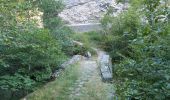 Excursión Senderismo Châtillon-en-Diois - Circuit des Baumes - Pont de vachères-Soubreroche - Boulc - Photo 14