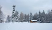 Tour Zu Fuß Grünenplan - HZ3 Auf dem Kammweg zum Raabe-Turm - Photo 10