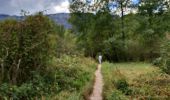 Excursión Senderismo Doussard - Réserve du bout du lac - Photo 6