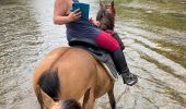 Trail Horseback riding Hériménil - Herimenil baignade Tivio Kenzo tiboy  - Photo 5