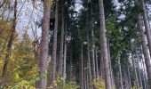 Tour Wandern Beersel - Dworp - Parc de Huizingen - Bois de Halle - Photo 2