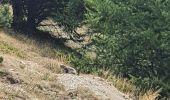 Tocht Stappen Ceillac - Boucle crête du Riou Vert et  Col de Bramousse - Photo 12