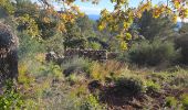 Trail Walking Cuers - Promenade sous les barres de Cuers, en partant du village de Cuers - Photo 9