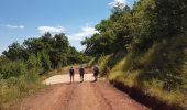 Excursión Marcha nórdica Mérifons - Mérifons - Carlencas AR - Photo 5