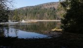 Trail Walking Xonrupt-Longemer - 25022021 Les trois lacs - Photo 10