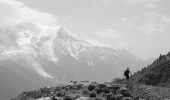 Tocht Stappen Chamonix-Mont-Blanc - Hôtel la Flégère - GR TMB - Lacs de Chéserys - Photo 3