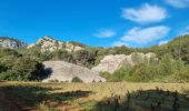 Tour Wandern Évenos - Grès de Ste Anne retour carrière by DAL - Photo 1